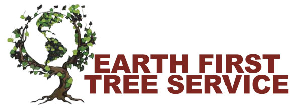 Contact Earth First Tree Service